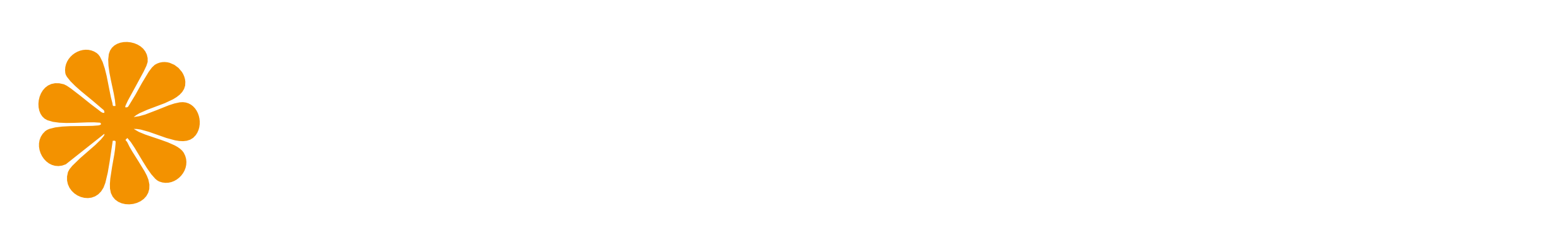 Logo StackOverFio
